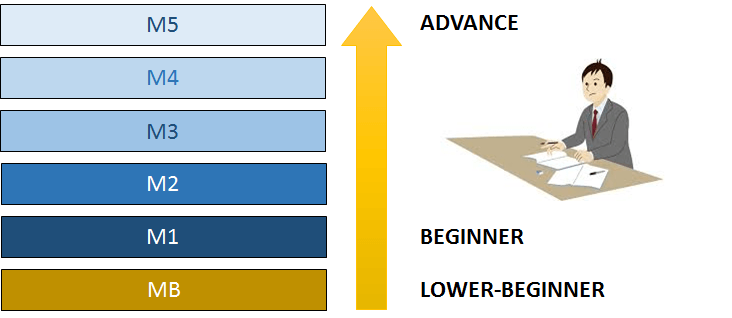 6level_pic